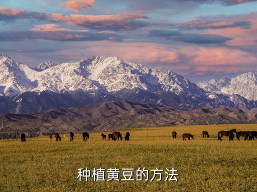 種植黃豆的方法