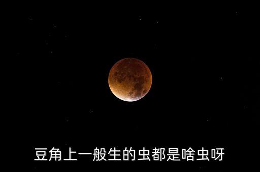 豆角上一般生的蟲(chóng)都是啥蟲(chóng)呀