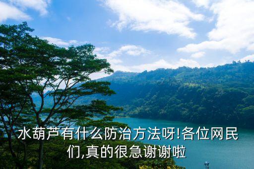 用什么農藥消滅水葫蘆,什么農藥可以殺死水葫蘆