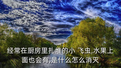 菜地小飛蟲用什么農藥,菜地很多小飛蟲用什么治療