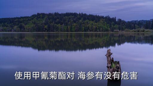 使用甲氰菊酯對 海參有沒有危害