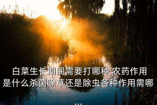 白菜上有蟲用什么農藥效果好,冬白菜苗期用什么農藥