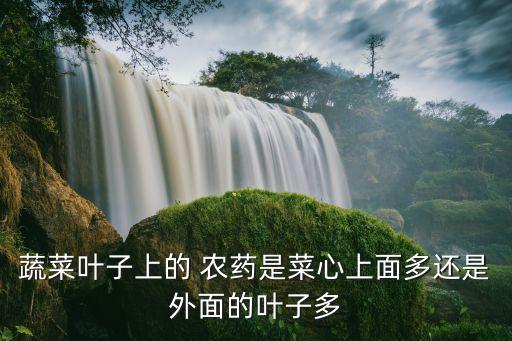 農藥殘留掛什么科,什么水果農藥殘留最多