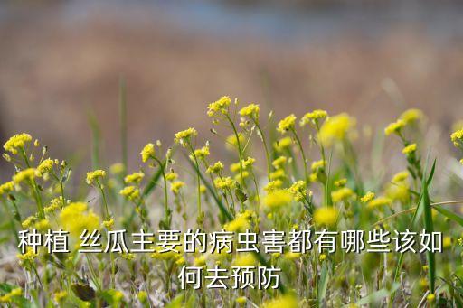 絲瓜對(duì)什么農(nóng)藥過(guò)敏呢,農(nóng)藥過(guò)敏什么癥狀怎么治療