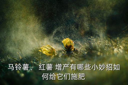 紅薯打什么農(nóng)藥使它增產(chǎn),紅薯要噴什么農(nóng)藥呢