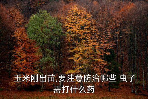 打玉米蟲子什么農(nóng)藥好,膩蟲子用什么農(nóng)藥