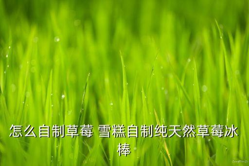 怎么自制草莓 雪糕自制純天然草莓冰棒