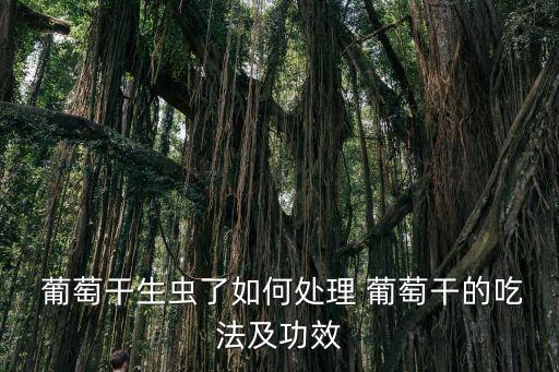  葡萄干生蟲了如何處理 葡萄干的吃法及功效