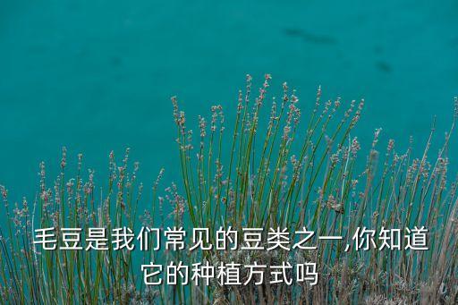 毛豆是我們常見的豆類之一,你知道它的種植方式嗎