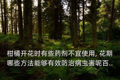 柑橘開花時有些藥劑不宜使用, 花期哪些方法能夠有效防治病蟲害呢百...