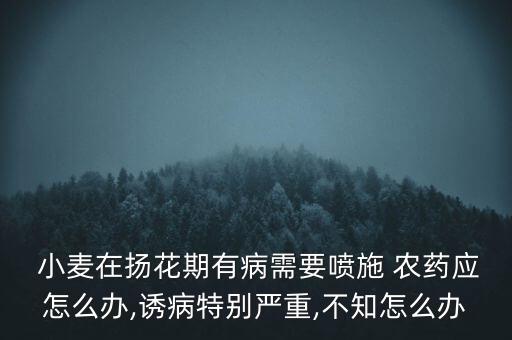  小麥在揚(yáng)花期有病需要噴施 農(nóng)藥應(yīng)怎么辦,誘病特別嚴(yán)重,不知怎么辦