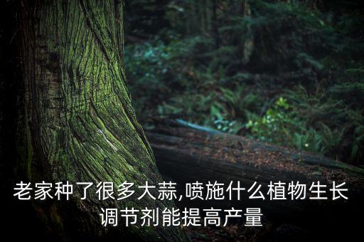 老家種了很多大蒜,噴施什么植物生長調節(jié)劑能提高產量
