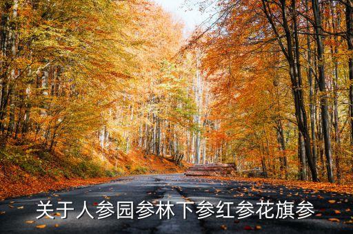關于人參園參林下參紅參花旗參