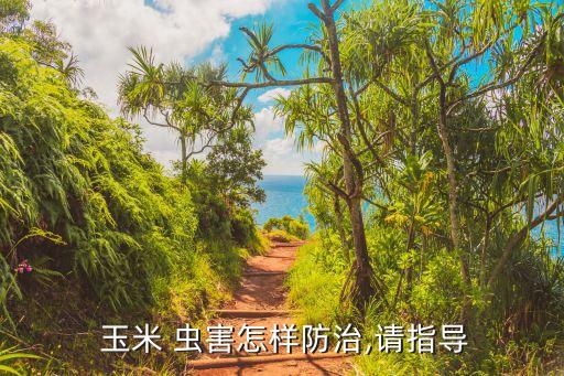  玉米 蟲害怎樣防治,請指導