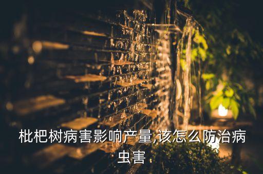 枇杷果噴什么農藥,枇杷花期用什么農藥
