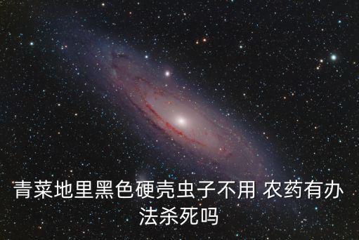 青菜地里黑色硬殼蟲子不用 農藥有辦法殺死嗎