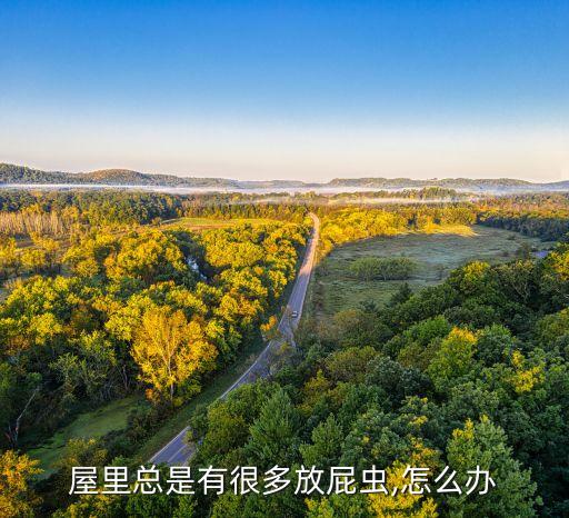 嗅屁蟲用什么農藥,打茶葉蟲什么農藥最好