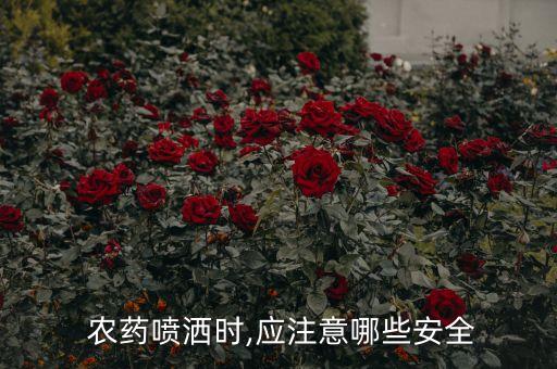 打農(nóng)藥有什么禁忌,蔬菜打農(nóng)藥什么時間好