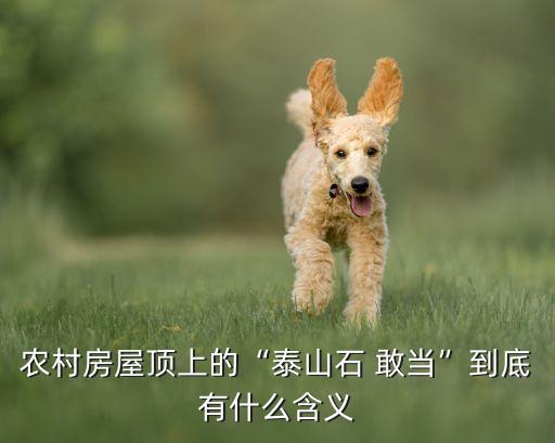 敢當是什么農藥,666粉是什么農藥