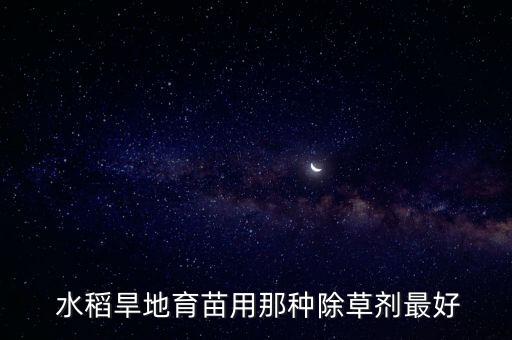  水稻旱地育苗用那種除草劑最好