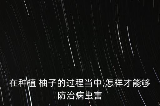 在種植 柚子的過程當中,怎樣才能夠防治病蟲害