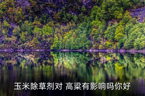 玉米除草劑對 高粱有影響嗎你好