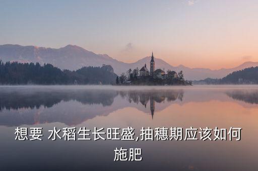 想要 水稻生長旺盛,抽穗期應該如何施肥