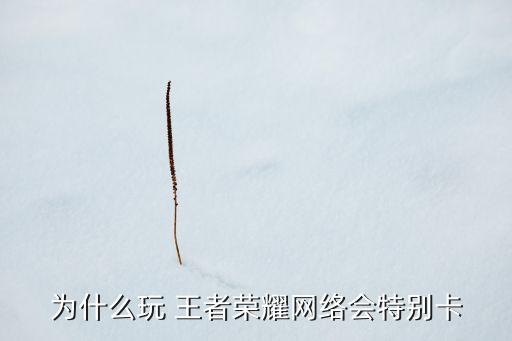 為什么手機玩王者農藥卡,新買的手機玩王者為什么會卡