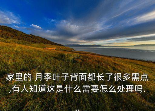 家里的 月季葉子背面都長了很多黑點,有人知道這是什么需要怎么處理嗎...