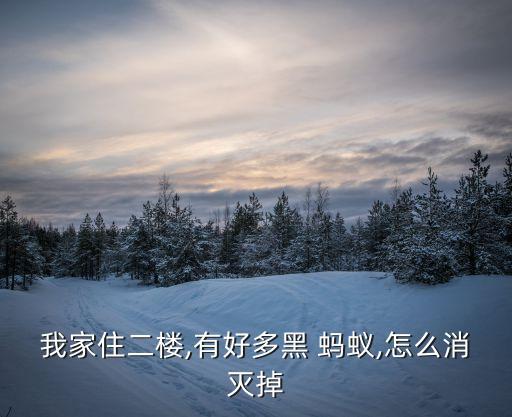 什么農藥可以殺滅蝸牛,殺滅黑螞蟻用什么農藥