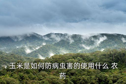 玉米現在打什么農藥合適,玉米治蟲用什么農藥好