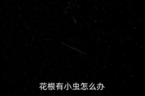 花根有小蟲怎么辦