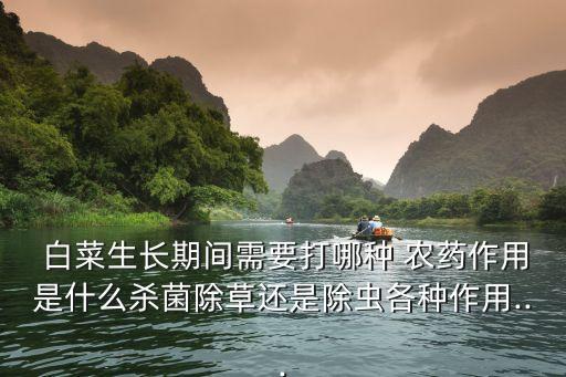 白菜有蟲打什么農藥,白菜里面有軟軟的蟲叫什么