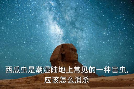 西瓜蟲是潮濕陸地上常見的一種害蟲,應該怎么消殺