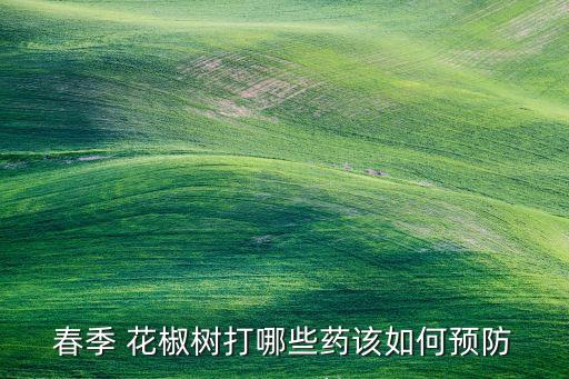 花椒落葉病用什么農(nóng)藥,四季不落葉的花椒叫什么