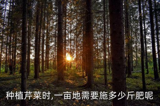 種植芹菜時,一畝地需要施多少斤肥呢