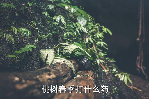 桃樹能施用什么農藥,桃樹打農藥什么時間最好