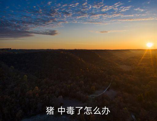 豬農藥慢性中毒什么癥狀,農藥慢性中毒會能檢查出來嗎