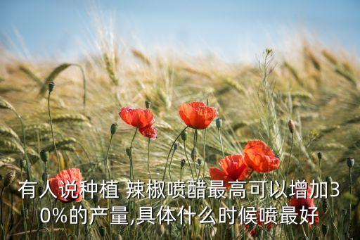 辣椒噴農藥什么時候最好,辣椒膨大拉長農藥配方