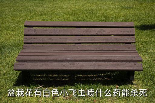 盆栽花有白色小飛蟲噴什么藥能殺死