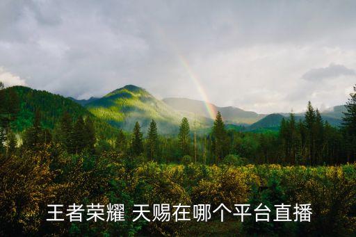 王者榮耀 天賜在哪個(gè)平臺(tái)直播
