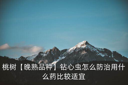 蛀心蟲用什么農(nóng)藥效果最好,打鉆心蟲藥特效農(nóng)藥
