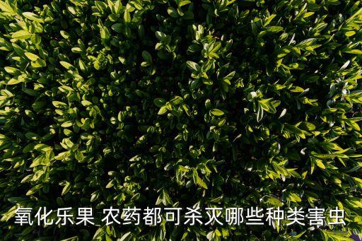 柑橘蝽象防治用什么農(nóng)藥,柑橘有些什么蟲怎么防治