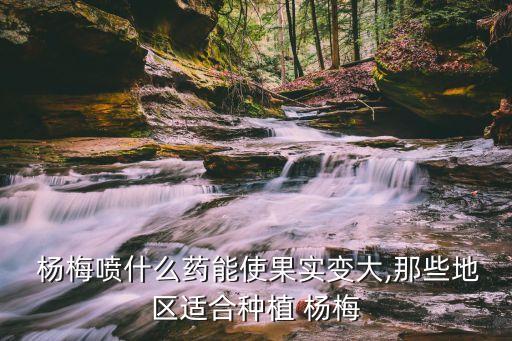 楊梅秋季打什么農(nóng)藥,楊梅用什么農(nóng)藥最好