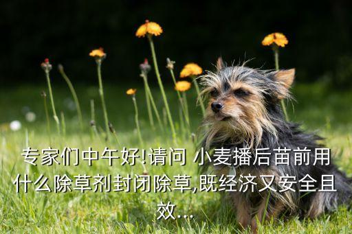 專家們中午好!請問 小麥播后苗前用什么除草劑封閉除草,既經濟又安全且效...