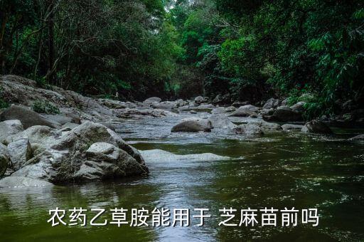 農藥乙草胺能用于 芝麻苗前嗎