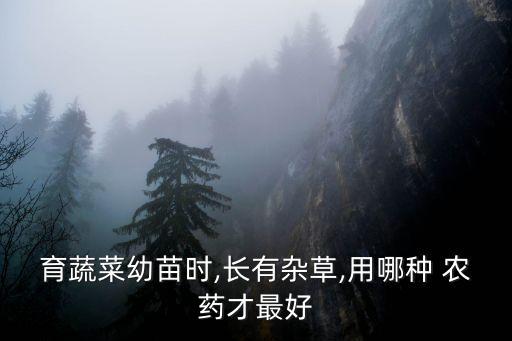 什么農藥殺草不傷苗子根,殺節節草用什么農藥