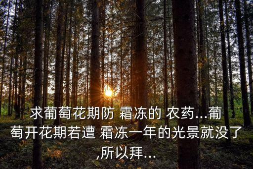 求葡萄花期防 霜凍的 農(nóng)藥...葡萄開花期若遭 霜凍一年的光景就沒了,所以拜...