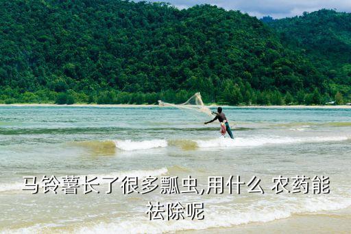 馬鈴薯長了很多瓢蟲,用什么 農藥能祛除呢