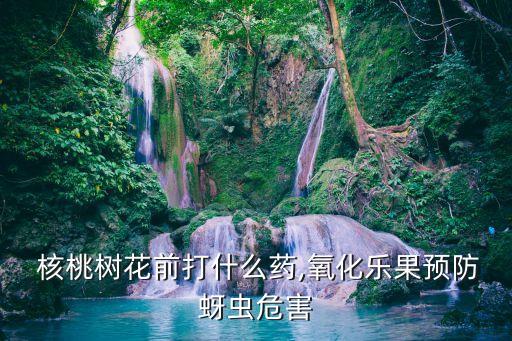 至核桃樹農(nóng)藥什么價錢,核桃樹打什么農(nóng)藥最好
